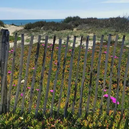 Holiday home Petite Maison A La Dans Naturiste Leucate